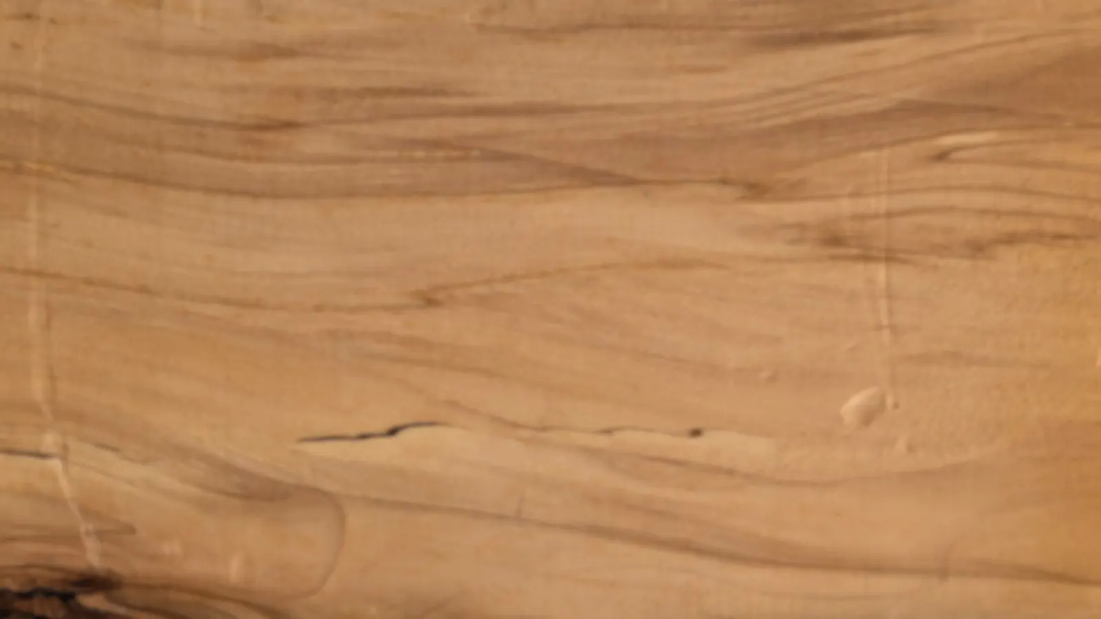 ワークショップ